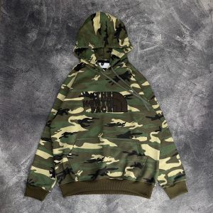Hoodie TNF Novelty Arch Camo