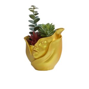 TASTY TIMES Resin Human Face Vase European Style Aesthetic Character Plant Pot Hydroponic Plant Utensils Handicraft Hydroponic Flower Holder Artificial flowers