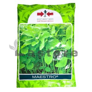 Benih Bayam Hijau MAESTRO Isi 500 gram Cap Panah Merah