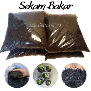 Sekam bakar untuk media tanam | merang padi sekam bakar