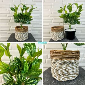 Tanaman Artificial Kucai X4 & Tanaman Artificial Watermelon Cover Seagrass Coklat Mini Pajangan Meja Kantor Aesthetic