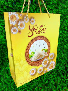 TÚI GIẤY YẾN SÀO TRUNG ĐỰNG HỘP 100GR - KT: 22x28x9cm