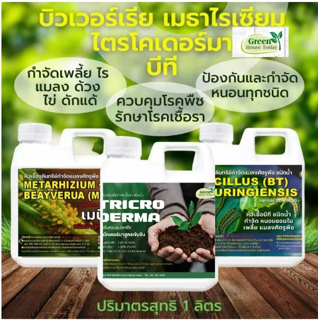 ไตรโคเดอร์ม่า บิวเวอร์เรีย เมธาไรเซียม BT กำจัดเชื้อรา เพลี้ย แมลง