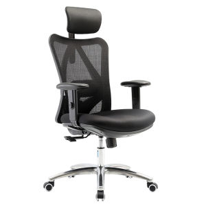 TakeAseat Ergonomic Office Chair SIHOO M18 Chair Adjustable Lumbar Support 3D Armrests Home Office Self Setup