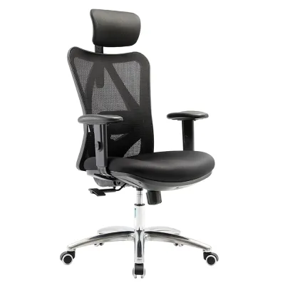 TakeAseat Ergonomic Office Chair SIHOO M18 Chair Adjustable Lumbar Support 3D Armrests Home Office Self Setup