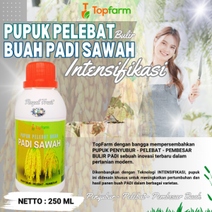Pupuk Pelebat Buah / Pupuk Semprot Khusus Padi / Obat Padi Sawah / Obat Padi Biar Buah Berbobot / Obat Padi Untuk Hama Wereng / Obat Padi Sundep Paling Ampuh / Obat Padi Sawah Mati Pucuk