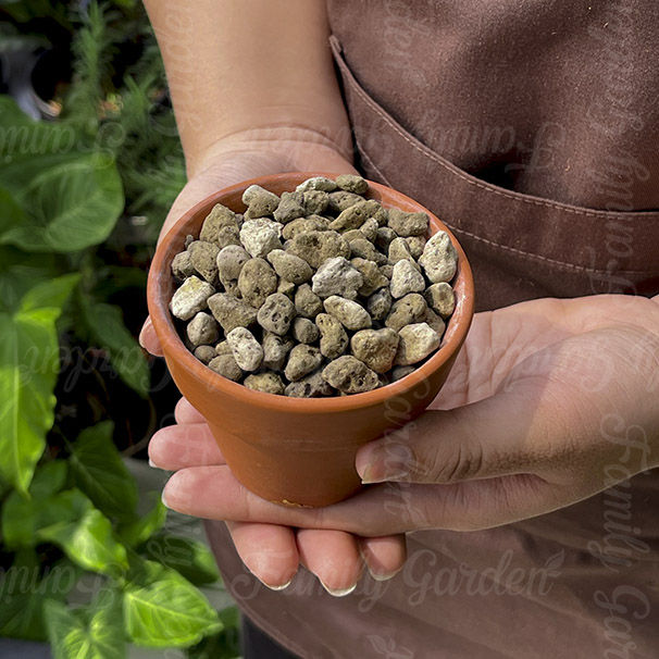 T%C3%BAi%201Kg%20-%20%C4%90%C3%A1%20B%E1%BB%8Dt%20(Pumice%20Stone),%20%C4%90%C3%A1%20Pumice%20%C4%91%E1%BB%83%20tr%E1%BB%93ng%20c%C3%A2y%20ch%E1%BA%A5t%20l%C6%B0%E1%BB%A3ng%20cao%20%7C%20%C4%90%E1%BB%99c%20quy%E1%BB%81n%20Family%20Garden%20-%20Image%205