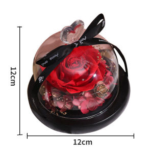 Seangel Dandelion immortal flower Handmade Preserved Flower Rose Lasts Forever with Warm Light Real Rose Gift for Her Women Wife Birthday Gifts Office Decoration Christmas Home Decor Anniversary Party