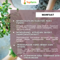 Obat Hama Tanaman Kakao / Obat Semprot Kakao / Obat Fungisida Tanaman Kakao / Obat Buah Kakao / Obat Hama Kakao / Pestisida Tanaman Pohon Kakao. 