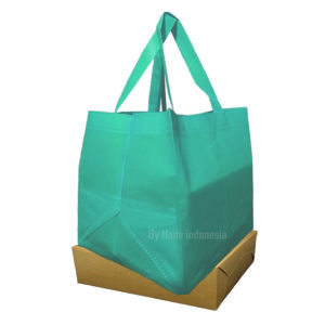 12 PCS / LUSINAN TAS SPUNBOND GOODIE BAG BAKERY DUS MIKA NASI KOTAK 20X20 KANTONG KAIN BINGKISAN BELANJA / HAMPERS SOUVENIR HANTARAN BERKAT / BESEK