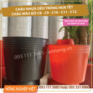Combo 5kg chậu nhựa C10 C11 đỏ/đen - Chậu nhựa trồng hoa tết giá rẻ chậu trồng hoa vạn thọ 3-4 gốc