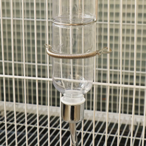 สปริงเปลี่ยนพร้อมขวดน้ำดื่มสปริงยึด2คลิปสแตนเลสสตีล3.1นิ้วสำหรับหนูแฮมสเตอร์