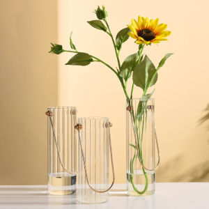 Nordic Minimalist Clear Transparent Glass Hydroponic Aqua Plant Holder Flower Vase with Gold Handle for Dried Flowers