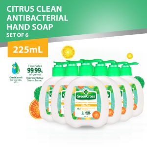 Green Cross Citrus Clean Antibacterial Hand Soap 225ml Pump x6
