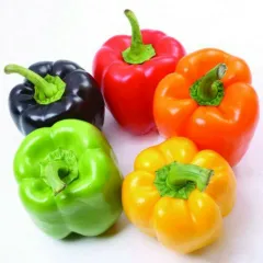 thumbnail image 2 of ORGANIC SEED Pepper: Sweet Pepper Medley -Prairie Road Organic – Prairie Road Organic Seed 2 of 13