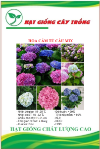 Hạt giống hoa cẩm tú cầu nhiều màu CT429 - Gói 10 hạt