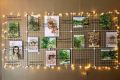 (Chọn Màu) 1 Khung Hình Lưới Sắt Treo Ảnh Hình Nghệ Thuật Trang Trí Decor Nhà Phòng Ngủ. 