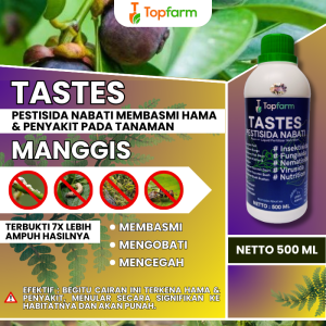 Obat Hama Pohon Manggis / Obat Hama Manggis / Obat Pembasmi Hama Manggis / Obat Semprot Hama Pohon Manggis / Obat Semprot Untuk Buah Manggis