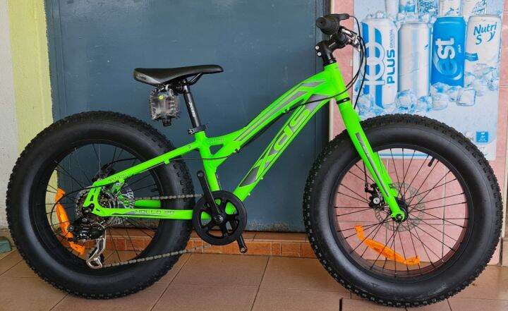 Xds fat shop bike