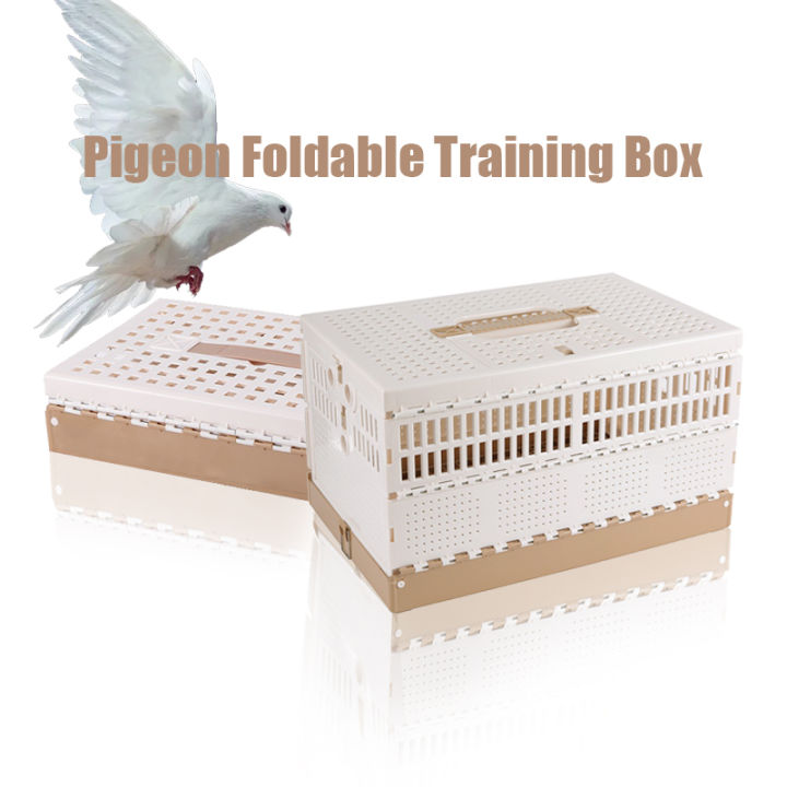 Taiwan Foldable Pigeon Training Box Tbox Cage Portable Ppigeon Cage On