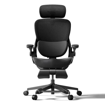 [NEW LAUNCH] Hinomi Q2 Pro Ergonomic Office Chair Adjustable Lumbar Support Memory Foam Headrest Armrest Legrest