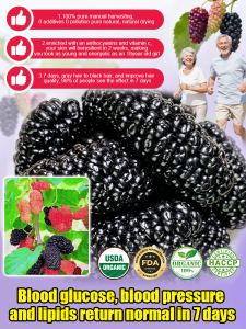 Dried Mulberries 130g Natural Unsweetened Mulberry Fruits Rich In Antioxidants And Fiber Healthy Vegan Snack For Tea And Baking