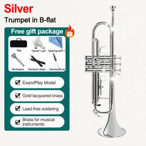 Bansid Standard Bb Trumpet Brass Material Nickle Plated Wind Instrument with Mouthpiece Carry Bag Gloves Cleaning Cloth