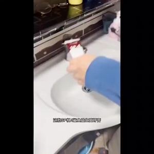 【Ship in 24H】【Fast Shipping】益生菌美白牙膏SP-4 Toothpaste Probiotic Caries Toothpaste Bad Breath Stain Removal Oral Health