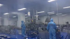 葵花业护肝片葛根枳子姜黄胶囊辅助保护化学官方旗舰店