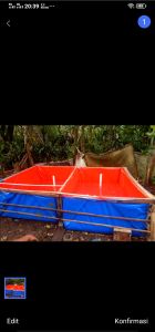 KOLAM TERPAL IKAN 200x100x100 CM BAHAN A8 PREMIUM KOREA