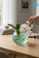 Bình Cá Thủy Tinh Mini Dáng Tròn Miệng Lượn Sóng 11cm B7 – Bể Cá Để Bàn Trang Trí Tặng Kèm Sỏi Và Rong Mô Hình. 