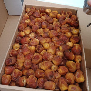 kurma sukari 3kg - Kurma sukari madinah