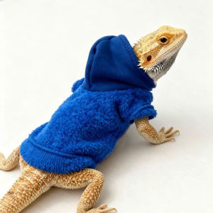 QUẦN ÁO THẰN LẰN BÒ SÁT ÁO HOODIE ÁO PHÔNG DÀNH CHO THÚ CƯNG THẰN LẰN BÒ SÁT