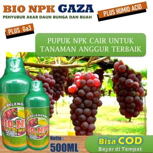 (BAYAR DI RUMAH) BIO NPK GAZA 500ML Pupuk anggur agar cepat berbuah - pupuk anggur masa pertumbuhan - pupuk anggur komplit - pupuk anggur berbuah lebat - pupuk anggur berbuah besar - pupuk anggur cepat berbuah - pupuk booster anggur paling bagus