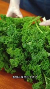 [ Really delicious green velvet ] Green Velvet Spring Evergreen Cauliflower Leafy Greens Vegetables for Planting in All Seasons