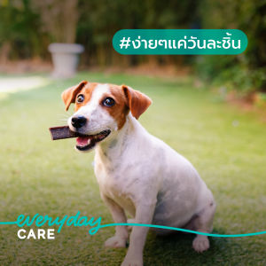 Virbac - 2 X ขนมขบเคี้ยวทําความสะอาดฟัน เวจจี้เด็นท์ เฟรช - ขนาด XS 120 กรัม [C.E.T.® VeggieDent FR3SH - XS 120 g x2 packs]