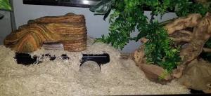 Leoterra Snake Hides for Ball Pythons X-Large Ball Python Hides 16.5"x10.6"x4.3"(XL) Plastic Material Durable and Easy to Clean