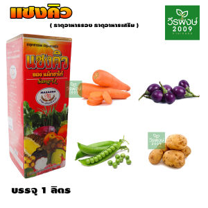 แซงคิว ยี่ห้อแม็กซาโก้ ฮอร์โมนพืช ธาตุอาหารรอง-ธาตุอาหารเสริม ข้าวโตเร็ว ขยายผล ทนต่ออากาศหนาว ขนาด 1 ลิตร