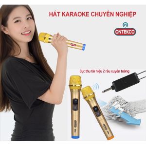 [BH 12 THÁNG - CHÍNH HÃNG ONTEK] Bộ 02 Micro không dây ONTEK E6S/E6 bản cao cấp chống hú chuyên dùng cho amply loa kéo