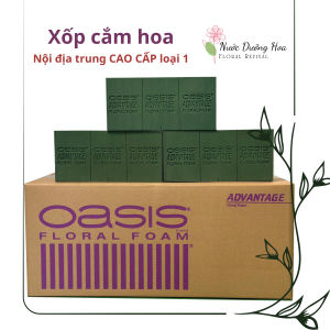 (10 Viên) Xốp cắm hoa tươi Oasis TÍM - Xốp cắm hoa OASIS chuyên dụng cắm hoa tươi giá siêu rẻ