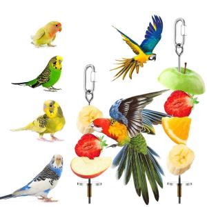 FMSRZX Budgie Parakeet Cage Accessories Stainless Steel Pet Treat Parrot Feeder Bird Food Holder Fruit Stick Vegetable Skewer