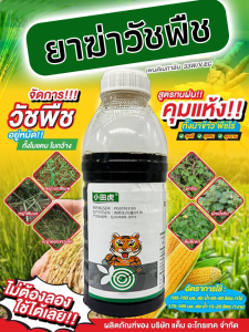 รากเน่า กําจัดวัชพืช เร็ว กําจัดวัชพืช