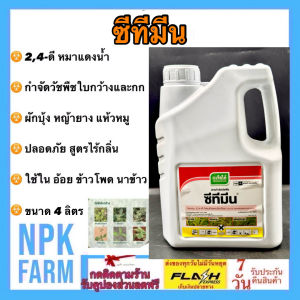 เจียไต๋ ซีทีมีน ขนาด 4 ลิตร 24-ดี-ไดเมทิลแอมโมเนียม กำจัดหญ้าใบกว้าง ผักบุ้ง เครือ เถา ผักปอดนา เทียนนา โสนหางไก่ ผักบุ้ง กก แห้วหมู ในอ้อย ข้าว ข้าวโพด ชนิดดูดซึม