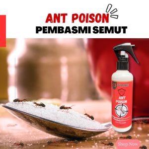 Obat Pembasmi Semut Rumah