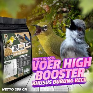 MAKANAN BURUNG JUARA LOMBA BURCIL | EKSTRAK ULAT HONGKONG | VOER GACOR SEHARIAN | VOER HIGH BOOSTER PROTEIN 40% ( KHUSUS BURUNG KECIL ) 250 GR