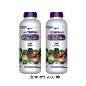 ปุ๋ยน้ำ 4-24-24 2ขวดลดพิเศษ สูตรเร่งแตกตาดอก เปิดตาดอก ขยายผล เพิ่มผลผลิต เพิ่มเนื้อ เพิ่มน้ำหนัก เข้าสี ขนาด 1 ลิตร