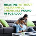 Basic Care Nicotin Gum Mint Flavor 310 Count (Packaging May Vary). 