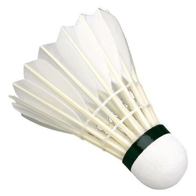 fast delivery COD NEW】 KELLY DG 1PC BADMINTON FEATHER SHUTTLECOCK SPORT TOY  TOOLS (9CM) Sports & Outdoors / Sports Equipment / Racket Sports / Badminton  / Rackets