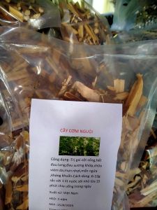Cây cơm nguội khô 500g