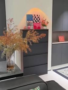 Ultra thin steel household shoe cabinet storage cabinet integrated no need to install entrance shoe cabinet